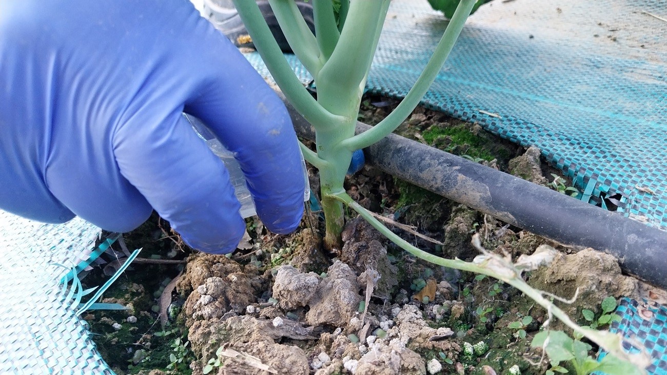 fertlizantes biológicos pesca